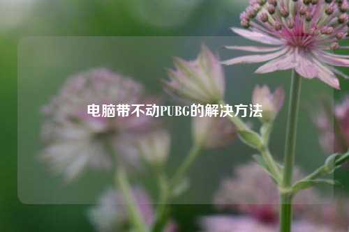 电脑带不动PUBG的解决 *** 