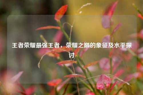 王者荣耀最强王者，荣耀之巅的象征及水平探讨