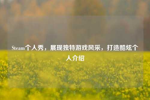 Steam个人秀，展现独特游戏风采，打造酷炫个人介绍