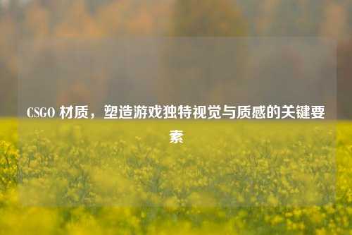 CSGO 材质,塑造游戏独特视觉与质感的关键要素