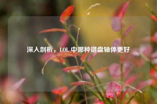 深入剖析,LOL 中哪种键盘轴体更好