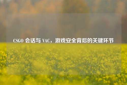 CSGO 会话与 VAC，游戏安全背后的关键环节
