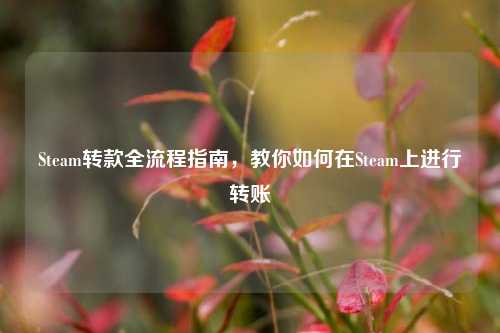 Steam转款全流程指南,教你如何在Steam上进行转账