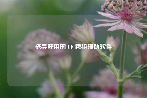 探寻好用的 CF 瞬狙辅助软件