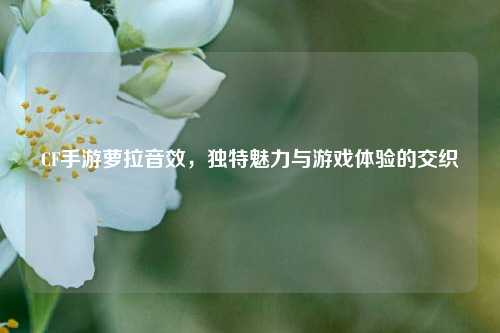 CF手游萝拉音效，独特魅力与游戏体验的交织