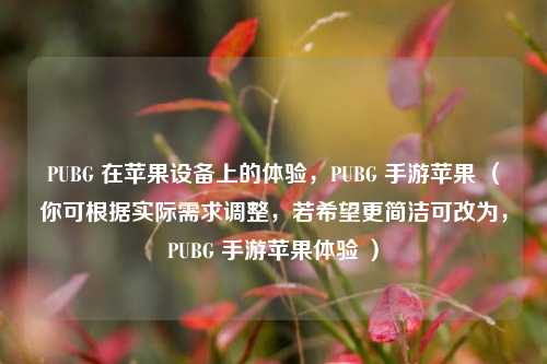 PUBG 在苹果设备上的体验,PUBG 手游苹果 (你可根据实际需求调整,若希望更简洁可改为,PUBG 手游苹果体验 )