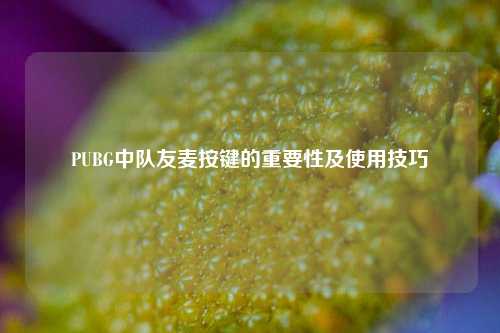 PUBG中队友麦按键的重要性及使用技巧