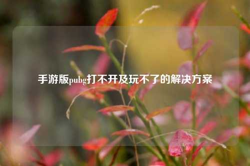 手游版pubg打不开及玩不了的解决方案