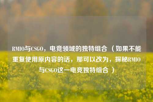RMIO与CSGO,电竞领域的独特组合 (如果不能重复使用原内容的话,那可以改为,探秘RMIO与CSGO这一电竞独特组合 )