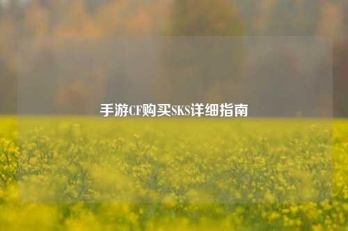 手游CF购买SKS详细指南