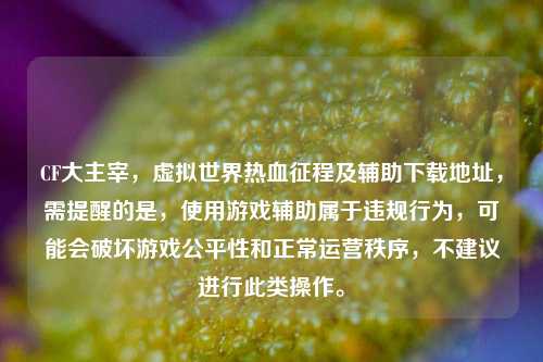 CF大主宰,虚拟世界热血征程及辅助下载地址,需提醒的是,使用游戏辅助属于违规行为,可能会破坏游戏公平性和正常运营秩序,不建议进行此类操作。