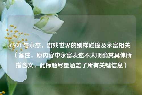 CSGO 与永杰,游戏世界的别样碰撞及永富相关 (备注,原内容中永富表述不太明确其具体所指含义,此标题尽量涵盖了所有关键信息)
