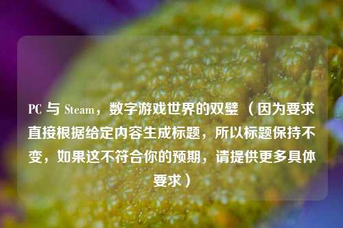 PC 与 Steam，数字游戏世界的双璧 （因为要求直接根据给定内容生成标题，所以标题保持不变，如果这不符合你的预期，请提供更多具体要求）