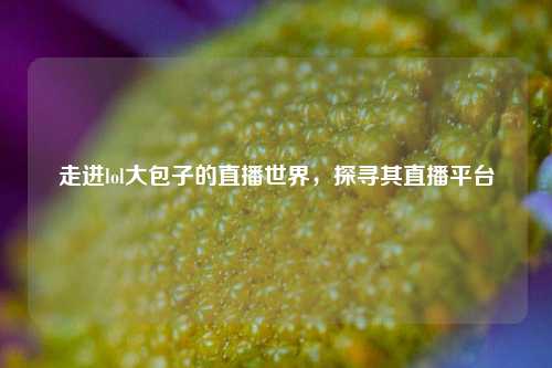走进lol大包子的直播世界，探寻其直播平台