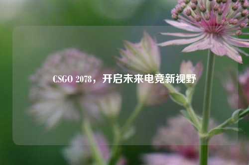 CSGO 2078,开启未来电竞新视野