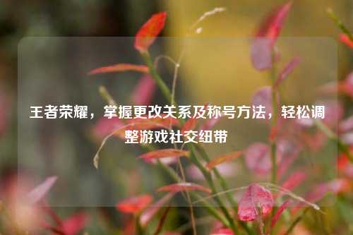 王者荣耀,掌握更改关系及称号 *** ,轻松调整游戏社交纽带