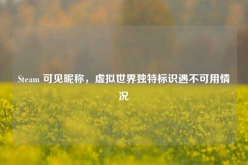 Steam 可见昵称,虚拟世界独特标识遇不可用情况