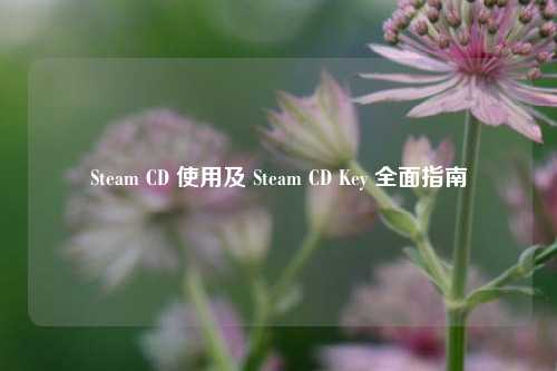 Steam CD 使用及 Steam CD Key 全面指南