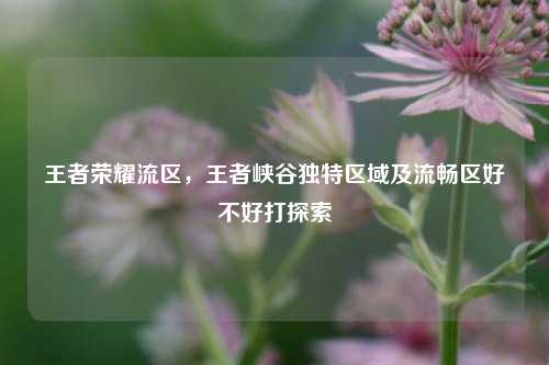 王者荣耀流区,王者峡谷独特区域及流畅区好不好打探索
