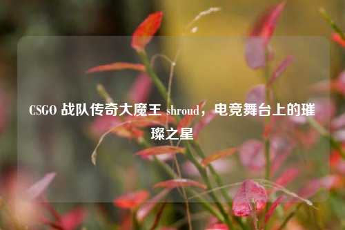 CSGO 战队传奇大魔王 shroud，电竞舞台上的璀璨之星
