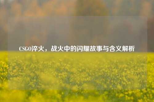 CSGO淬火，战火中的闪耀故事与含义解析