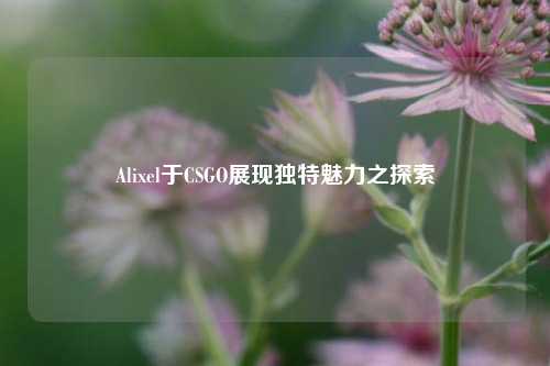 Alixel于CSGO展现独特魅力之探索