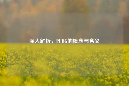 深入解析，PUBG的概念与含义