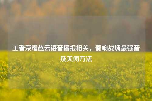 王者荣耀赵云语音播报相关，奏响战场最强音及关闭 *** 