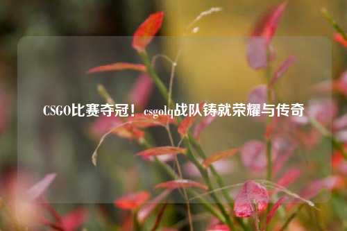 CSGO比赛夺冠!csgolq战队铸就荣耀与传奇