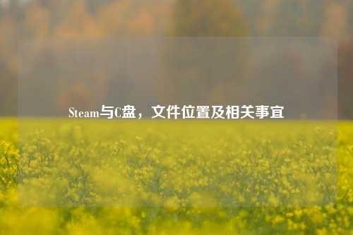 Steam与C盘,文件位置及相关事宜
