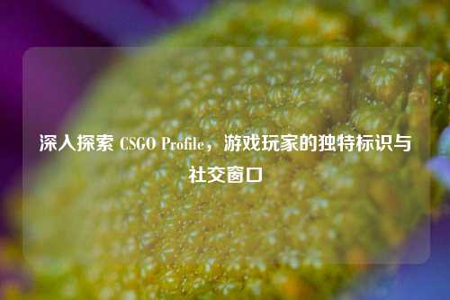 深入探索 CSGO Profile，游戏玩家的独特标识与社交窗口