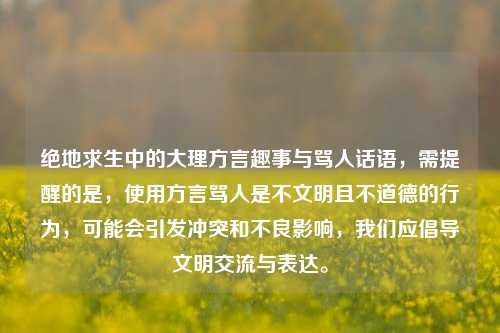 绝地求生中的大理方言趣事与骂人话语,需提醒的是,使用方言骂人是不文明且不道德的行为,可能会引发冲突和不良影响,我们应倡导文明交流与表达。