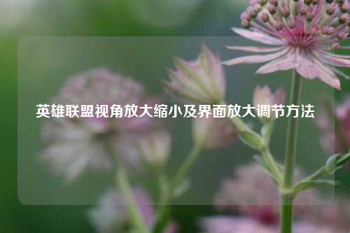 英雄联盟视角放大缩小及界面放大调节 ***