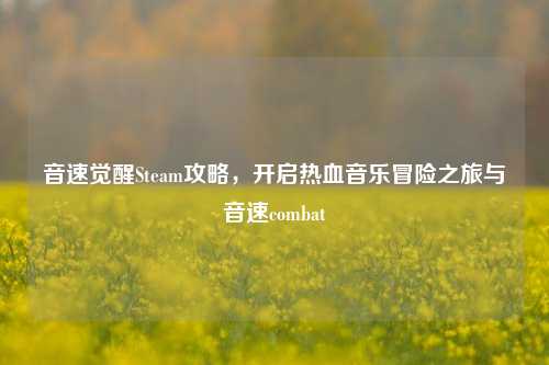 音速觉醒Steam攻略，开启热血音乐冒险之旅与音速combat