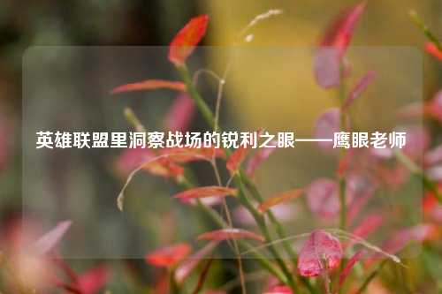 英雄联盟里洞察战场的锐利之眼——鹰眼老师
