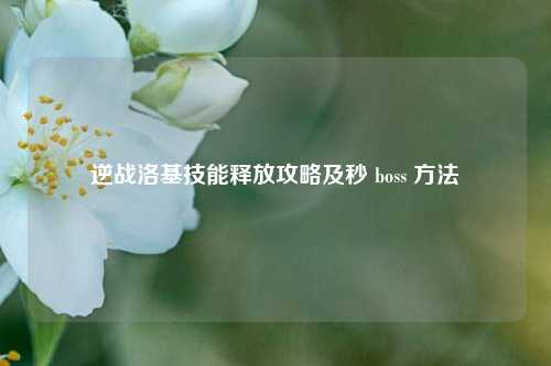 逆战洛基技能释放攻略及秒 boss ***