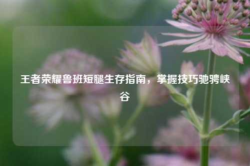 王者荣耀鲁班短腿生存指南，掌握技巧驰骋峡谷