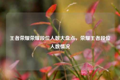 王者荣耀荣耀段位人数大盘点，荣耀王者段位人数情况