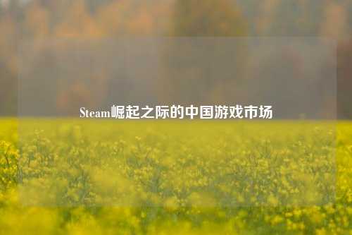 Steam崛起之际的中国游戏市场