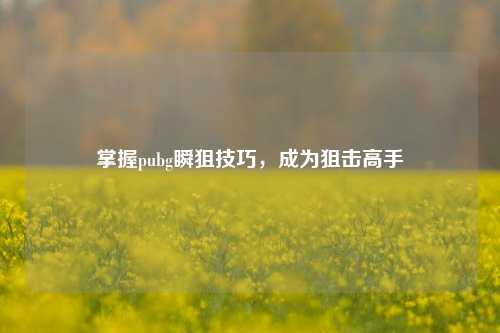 掌握pubg瞬狙技巧,成为狙击高手