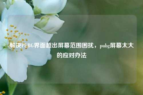 解决PUBG界面超出屏幕范围困扰,pubg屏幕太大的应对办法
