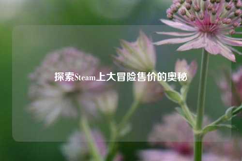 探索Steam上大冒险售价的奥秘