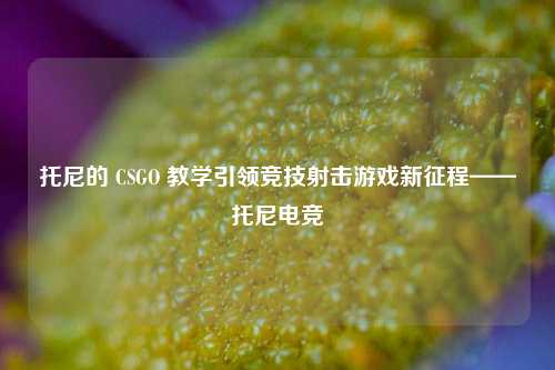 托尼的 CSGO 教学引领竞技射击游戏新征程——托尼电竞