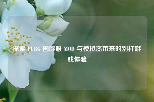 探索 PUBG 国际服 MOD 与模拟器带来的别样游戏体验