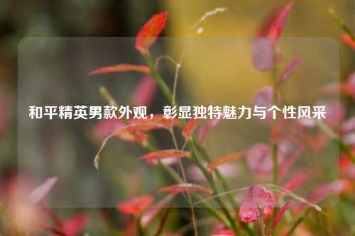 和平精英男款外观，彰显独特魅力与个性风采