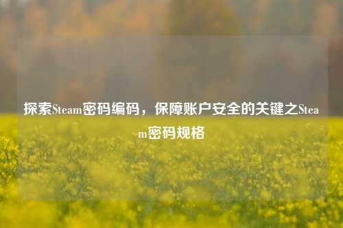 探索Steam密码编码，保障账户安全的关键之Steam密码规格