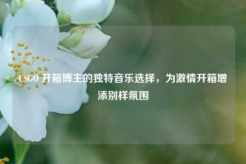 CSGO 开箱博主的独特音乐选择,为 *** 开箱增添别样氛围