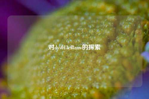 对dys013cf8znw的探索