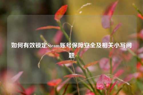 如何有效锁定Steam账号保障安全及相关小写问题