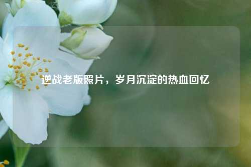 逆战老版照片，岁月沉淀的热血回忆